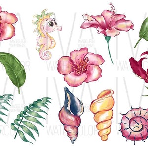 Puede incluir: Un conjunto de ilustraciones de acuarela con flores tropicales, hojas, conchas marinas y un caballito de mar. Las flores son rosas, rojas y blancas. Las hojas son verdes. Las conchas marinas son rosas, amarillas y azules. El caballito de mar es amarillo y naranja.