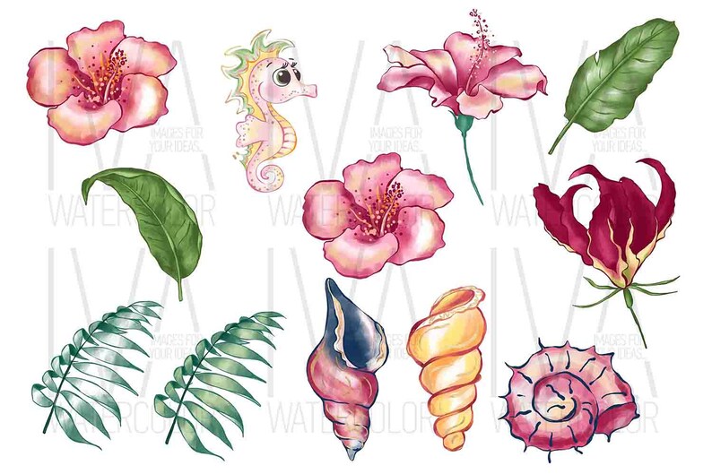 Puede incluir: Un conjunto de ilustraciones de acuarela con flores tropicales, hojas, conchas marinas y un caballito de mar. Las flores son rosas, rojas y blancas. Las hojas son verdes. Las conchas marinas son rosas, amarillas y azules. El caballito de mar es amarillo y naranja.