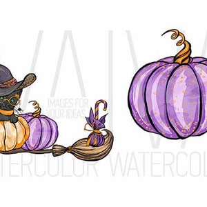 May include: Watercolor illustration featuring Halloween-themed elements. A black cat wearing a witch hat and glasses sits atop a pumpkin. A purple pumpkin is next to the cat. A broom and candy cane complete the design.