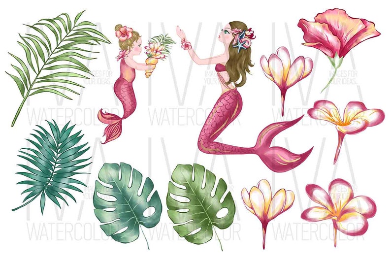 Puede incluir: Dos sirenas de acuarela con colas rosas y cabello largo y casta&ntilde;o. Las sirenas est&aacute;n rodeadas de hojas tropicales y flores en tonos de rosa, blanco y amarillo.
