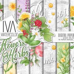 May include: A digital paper pack with 14 watercolor floral and herb designs. The designs feature daisies, dandelions, roses, and other flowers in shades of pink, yellow, white, and green. The text "IVA Watercolor Flowers & Herbs" is included in the design.