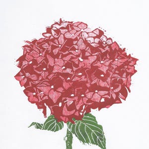 Red Hydrangea print