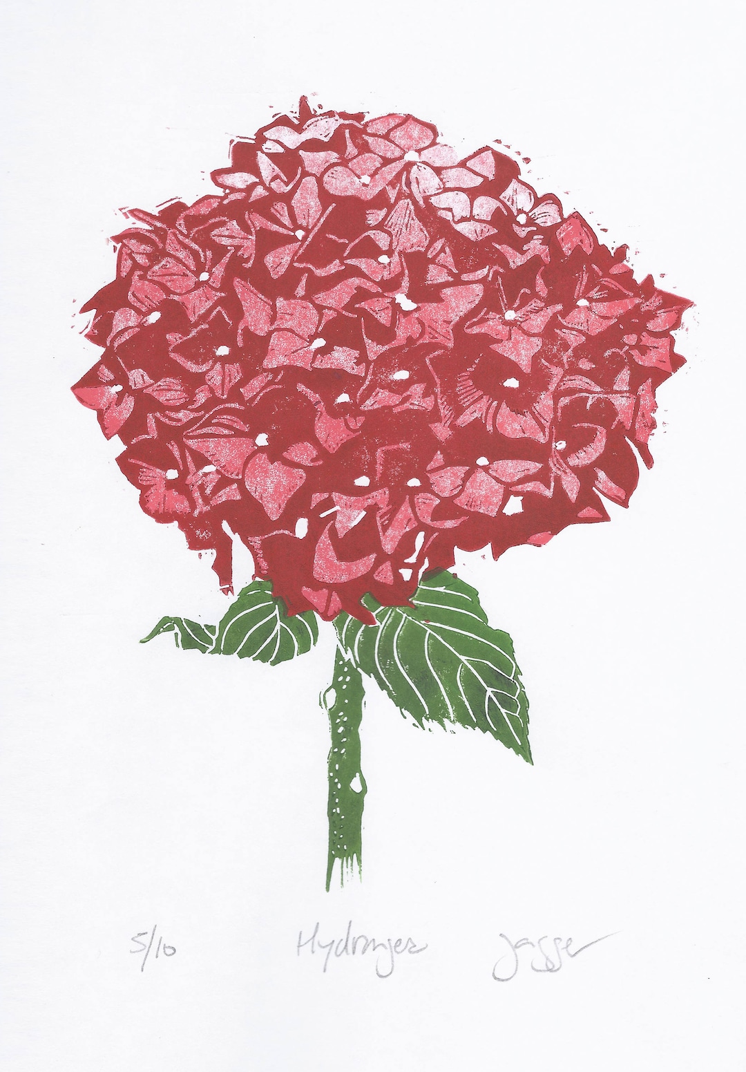 Red Hydrangea Print - Etsy