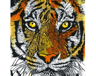 Tiger in Colour