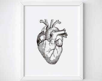 Anatomical Heart Print, Human Heart Anatomy Print, Heart Illustration, Heart Anatomy Print, Vintage Medical Illustration, Heart Wall Art