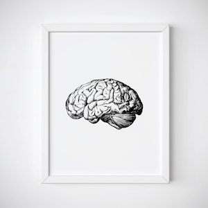 Anatomical Brain Print, Human Brain Anatomy Print, Brain Illustration, Brain Anatomy Print, Brain Medical Illustration, Brain Wall Art