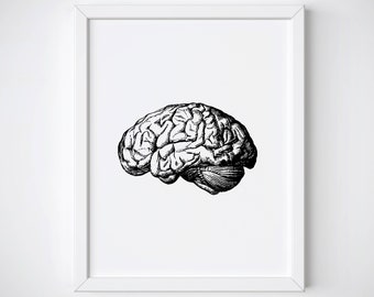 Anatomical Brain Print, Human Brain Anatomy Print, Brain Illustration, Brain Anatomy Print, Brain Medical Illustration, Brain Wall Art