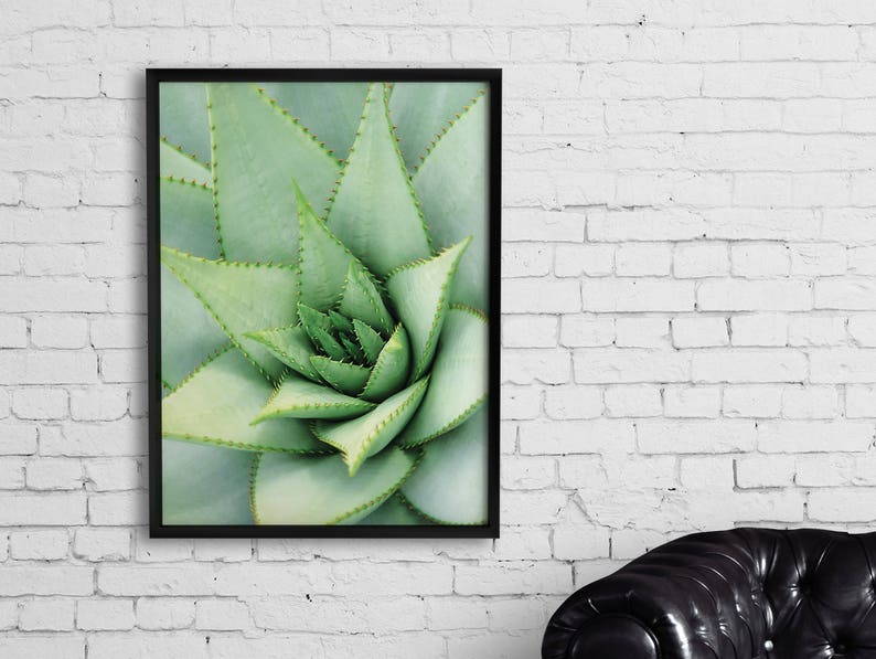 Succulent Print Succulent Photography Succulent Poster Etsy