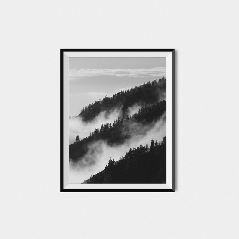 May include: A black and white photograph of a mountain range with trees and fog. The fog is swirling around the trees and the mountains are covered in a thick layer of fog.