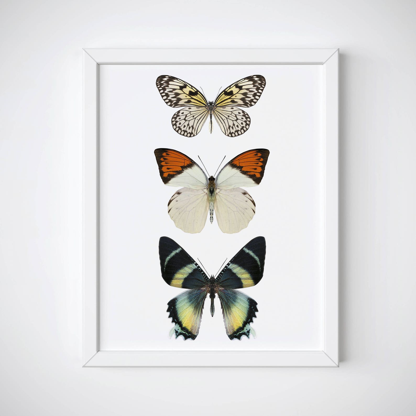 Butterfly Wall Art Butterfly Print Butterfly Poster Spring Etsy