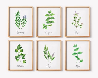 Herbs Print Set, Set of 6 Prints, Watercolor Herbs, Kitchen Decor, Herbs Wall Art, Oregano, Mint, Thyme, Sage Print, Herbs Decor