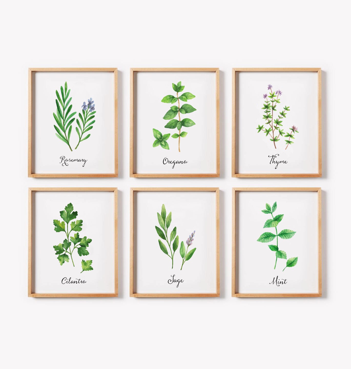 Herbs Print Set, Set of 6 Prints, Watercolor Herbs, Kitchen Decor ...