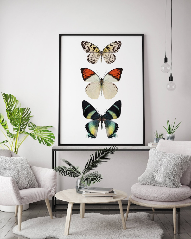 May include: A black framed print with three butterflies. The butterflies are arranged vertically, with a black and white butterfly at the top, an orange and white butterfly in the middle, and a green and black butterfly at the bottom.