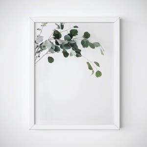 Eucalyptus Print, Plant Poster, Botanical Printable, Plant Printable, Eucalyptus Printable, Greenery Decor, Eucalyptus Wall Art, Plant Print