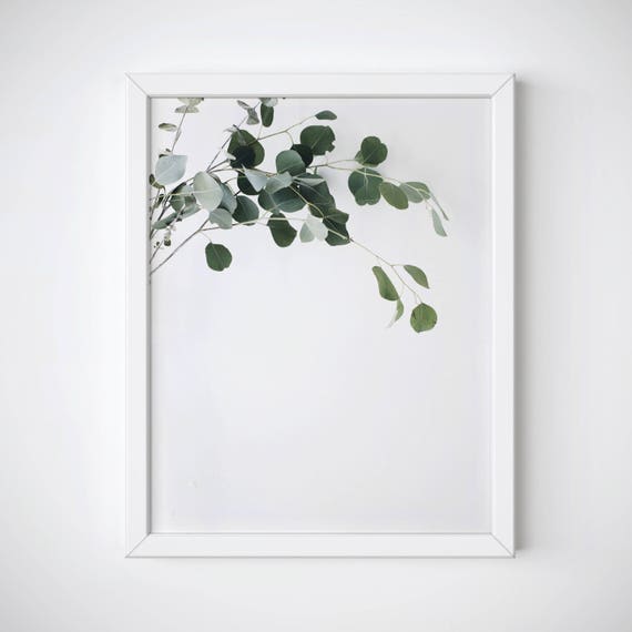 Eucalyptus Print, Plant Poster, Botanical Printable, Plant Printable, Eucalyptus Printable, Greenery Decor, Eucalyptus Wall Art, Plant Print