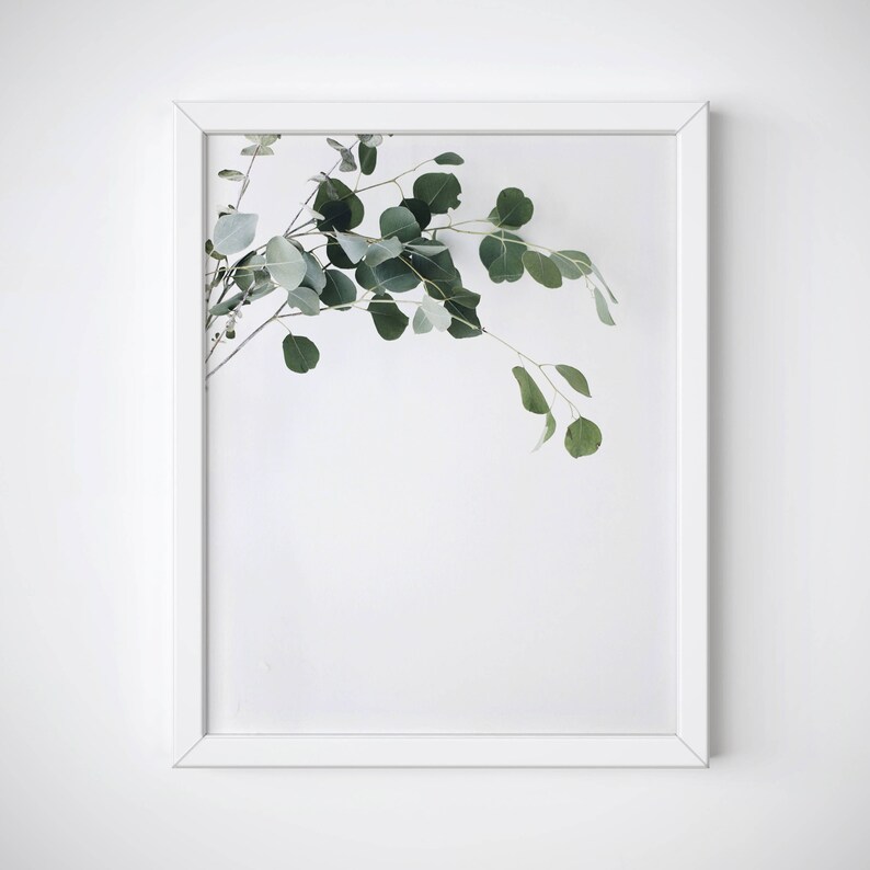 May include: A white framed print featuring a sprig of green eucalyptus leaves against a white background.