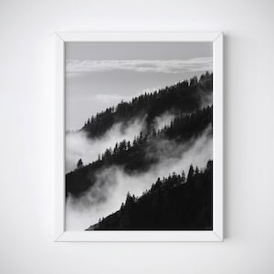 Wald Wandkunst, Waldfotografie, Nebelwald Druck, Wald Poster, Wald Nebel Druck, Nebel Wald Druck, BW Wald, Wald druckbar