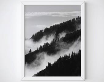 Forest Wall Art, Forest Photography, Foggy Forest Print, Forest Poster, Forest Fog Print, Misty Forest Print, BW Forest, Forest Printable