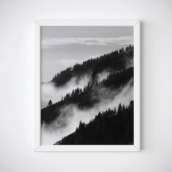Forest Wall Art, Forest Photography, Foggy Forest Print, Forest Poster, Forest Fog Print, Misty Forest Print, BW Forest, Forest Printable