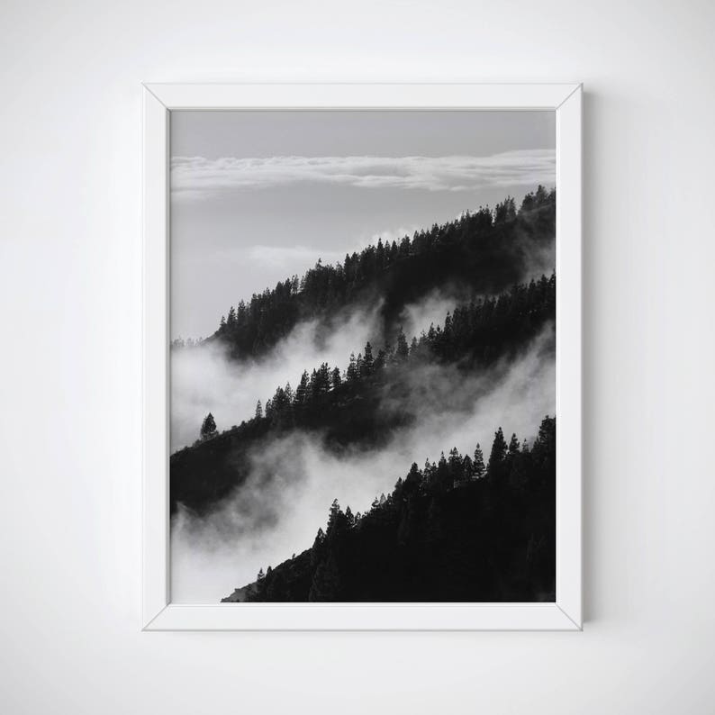 May include: Black and white photograph of a mountain range with trees and fog. The fog is swirling around the trees, creating a dramatic and ethereal scene.