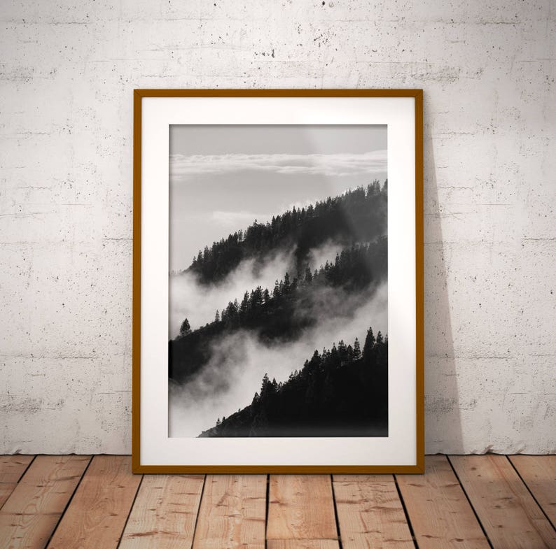 May include: A black and white photograph of a mountain range with fog rolling through the trees.