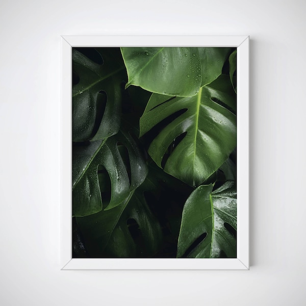 Monstera Leaves Poster, Botanical Wall Print, Monstera Leaves Wall Art, Botanical Wall Art, Green Leaf Print, Monstera Photography