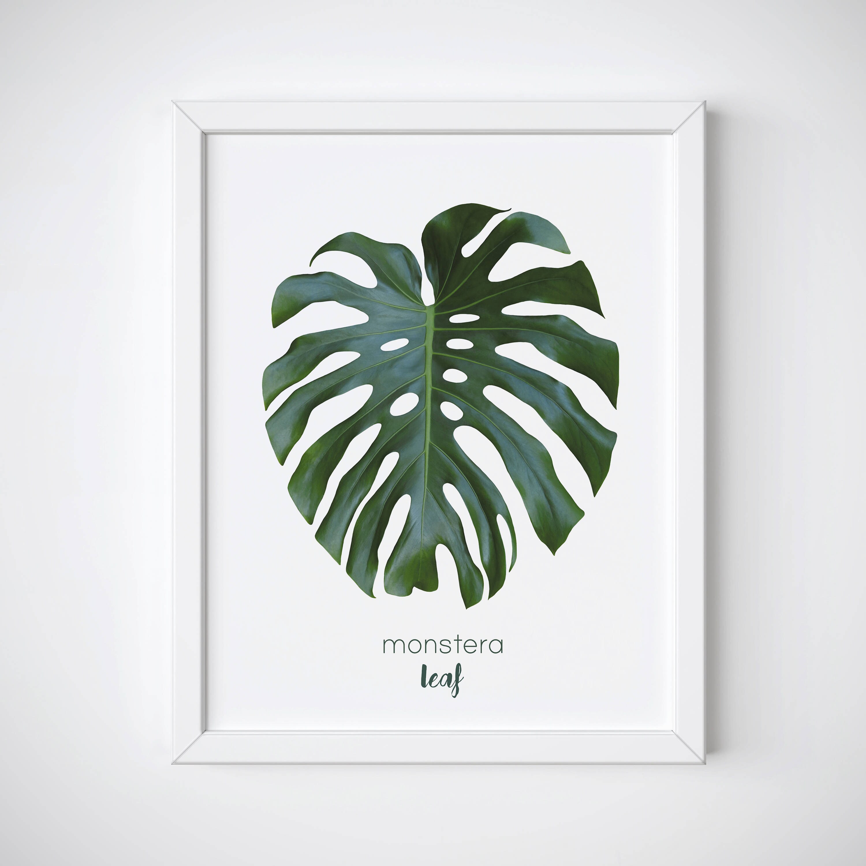 monstera leaf print monstera wall art tropical leaf print etsy monstera leaf print monstera