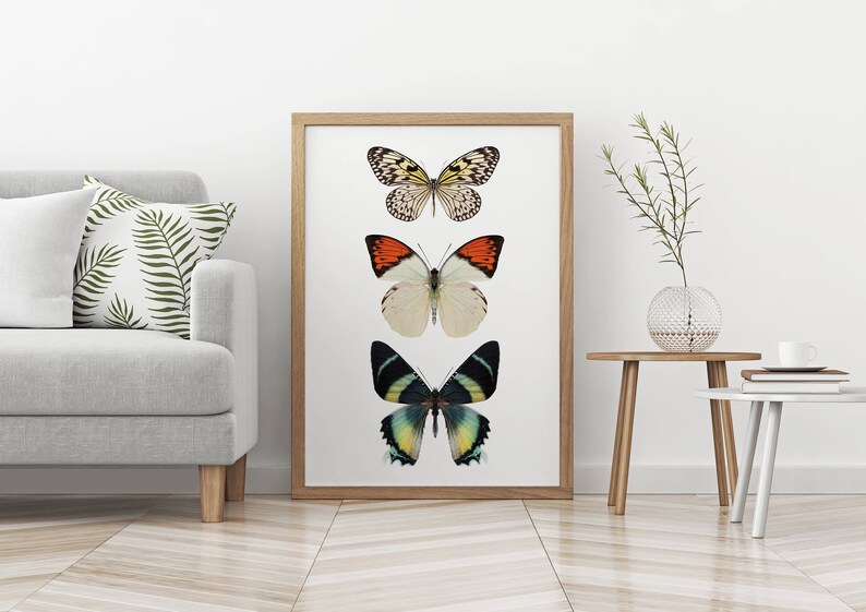May include: A framed print with three butterflies in different colors and patterns. The butterflies are arranged vertically, with the top butterfly being a white and orange butterfly, the middle butterfly being a white butterfly, and the bottom butterfly being a green and black butterfly.