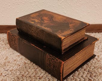 Set of 2 Vintage Style Secret Storage Decorative Book Boxes