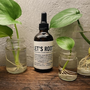 May include: A dark brown glass bottle with a black dropper and a white label that reads "LET'S ROOT". The bottle is surrounded by small glass jars with green plants and visible roots. The background is a light-colored wall.