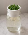 4 Wide Mouth Mason Jar Microgreen Grower Insert Fits Ball Mason Jars Sprouting Tray for Pea, Radish, Sunflower & More Reusable Seed Starter