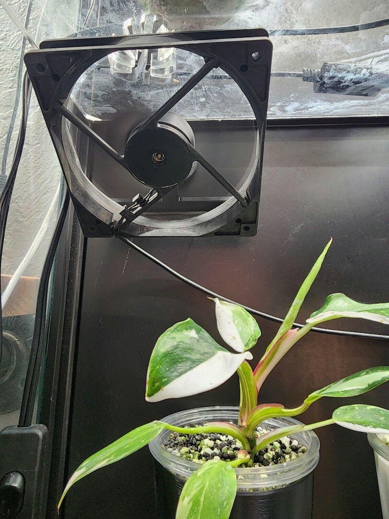 Puede incluir: Un ventilador de ordenador negro montado en una superficie de pl&aacute;stico transparente, con una planta verde y blanca variegada en una maceta de pl&aacute;stico transparente en primer plano.