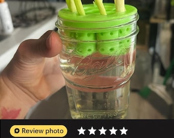 Green Onion, Lettuce, Celery  Regrow Kit for Wide Mouth Jars | Indoor Kratky Hydroponics | Kitchen Herb Garden | Propagation | Pothos