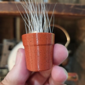 Cat Keepsake Pot for Whiskers | Pet Memory Storage | Thoughtful Gift for Cat Lovers