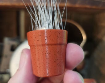 Cat Keepsake Pot for Whiskers | Pet Memory Storage | Thoughtful Gift for Cat Lovers