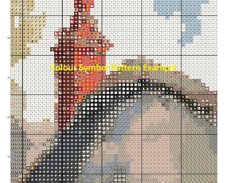 May include: A cross-stitch pattern example with a grid of squares, each filled with a symbol and colour. The text "Colour Symbol Pattern Example" is visible. The colour palette includes shades of red, brown, beige, and blue.