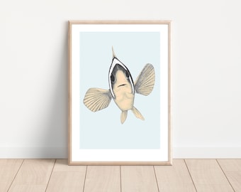 Clownfish Print ~ vintage style art print, hand drawn nemo, A4 size