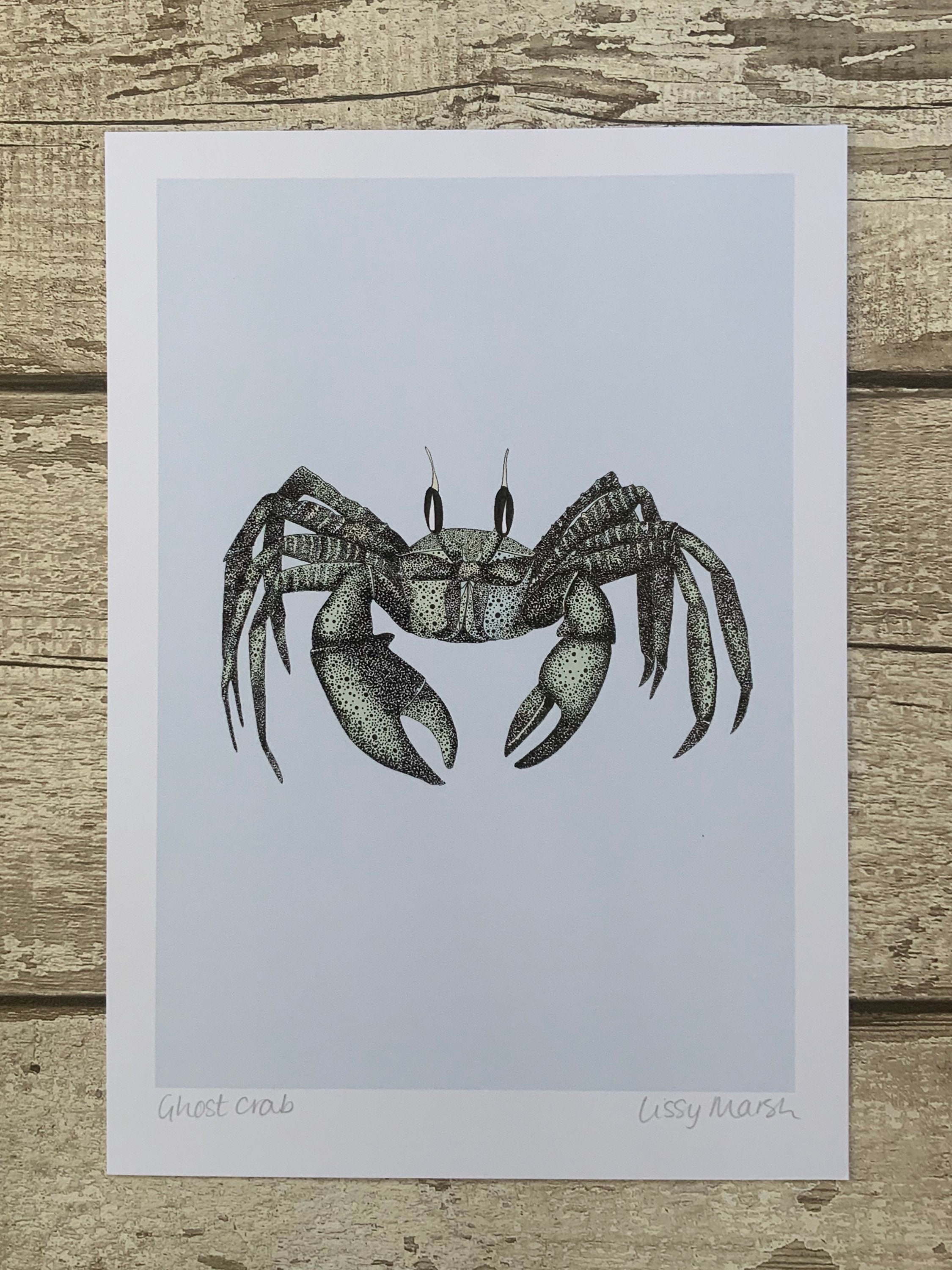 Impresión de arte cangrejo estilo vintage cangrejo Etsy