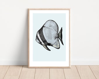 Bat Fish Print ~ vintage style giclee art print, hand drawn longfin spadefish, A4 size