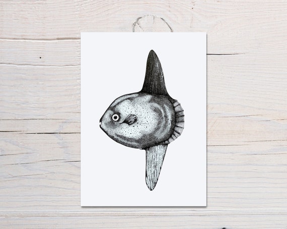 Sunfish mola Mola Card Hand Drawn Sunfish by El Sea Mar Art Printed on to  an A6 Size Greetings Card -  Sweden