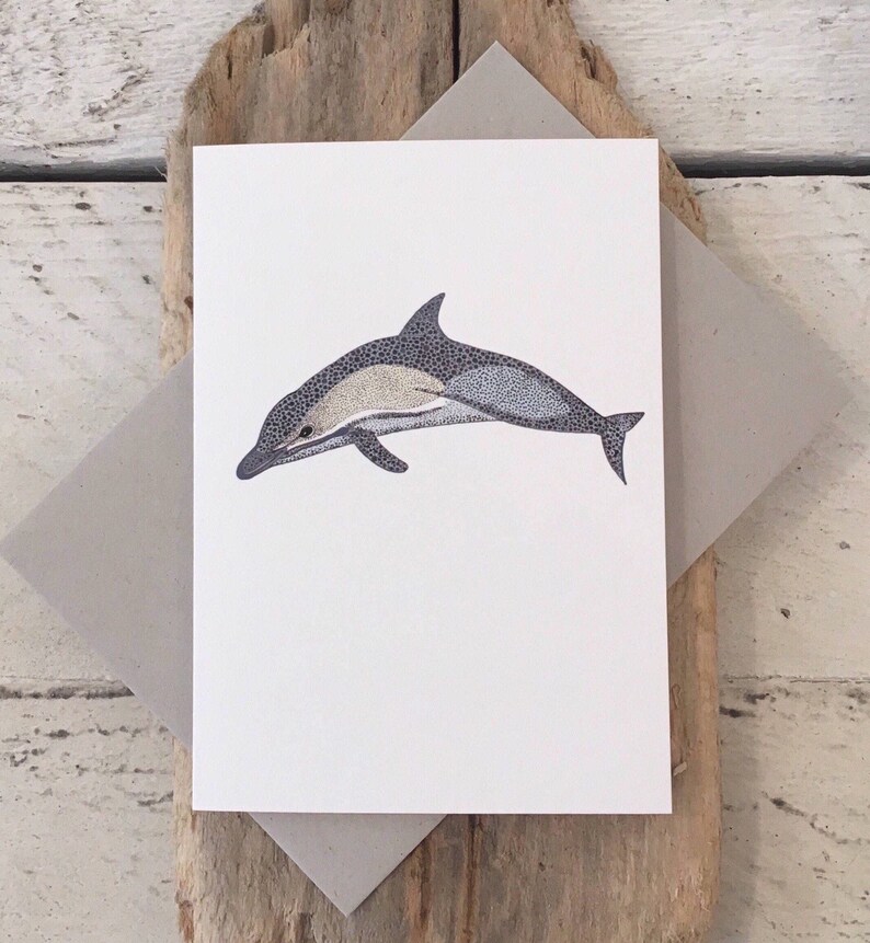 Dolphin Card Dolphin Birthday Card Hand Drawn Dolphin | Etsy