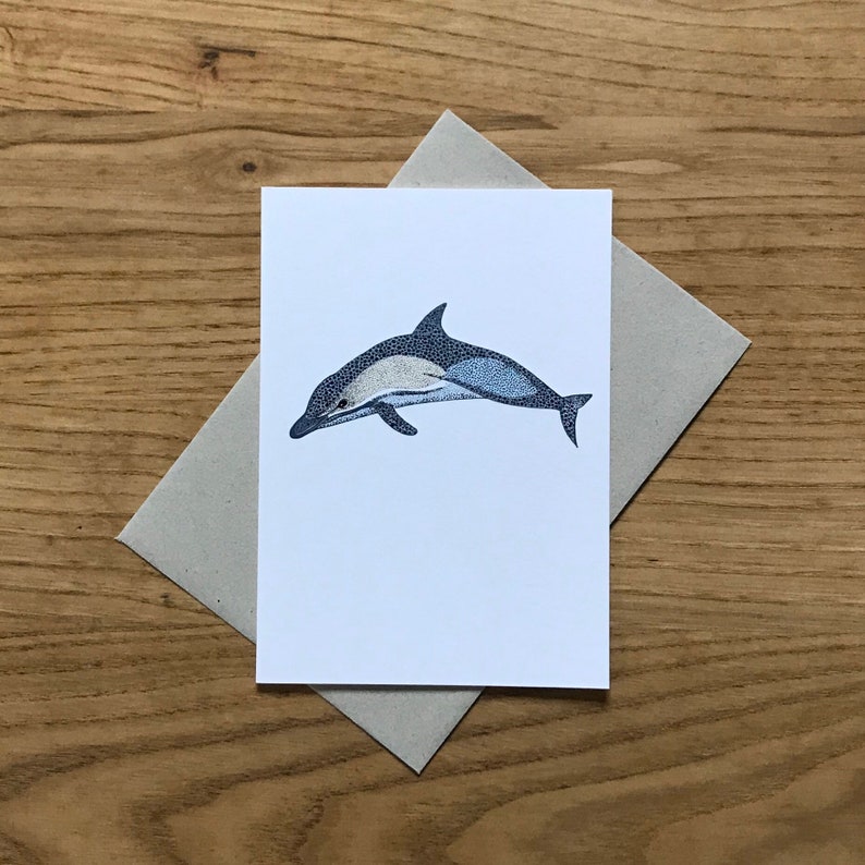 Dolphin Card Dolphin Birthday Card Hand Drawn Dolphin | Etsy