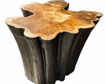 May include: A side table crafted from a single tree stump, featuring a natural light brown wood grain top with visible growth rings and a contrasting dark, charred black finish on the vertical exterior sides of the log base.