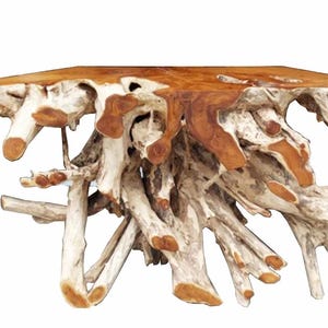 May include: A unique wooden console table with a natural root base. The tabletop is a warm brown, while the root structure is a mix of white and brown, creating a striking contrast. The table's organic design adds a rustic touch.