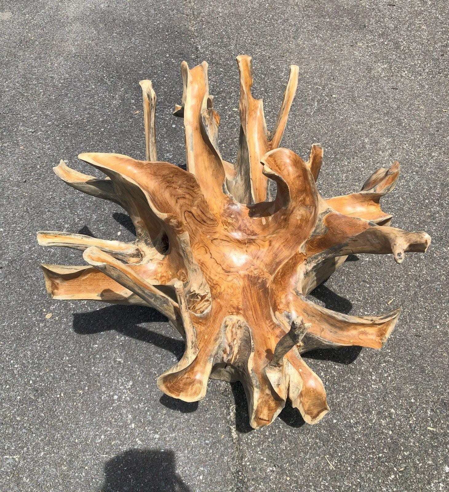 34” Driftwood Teak Root Coffee Table – Rustic Solid Wood | Handmade ...