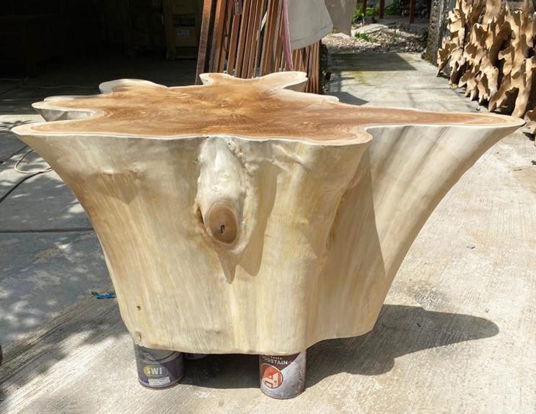 40” Teak Root Coffee Table – Handmade Sculptural Wood Art | Organic ...