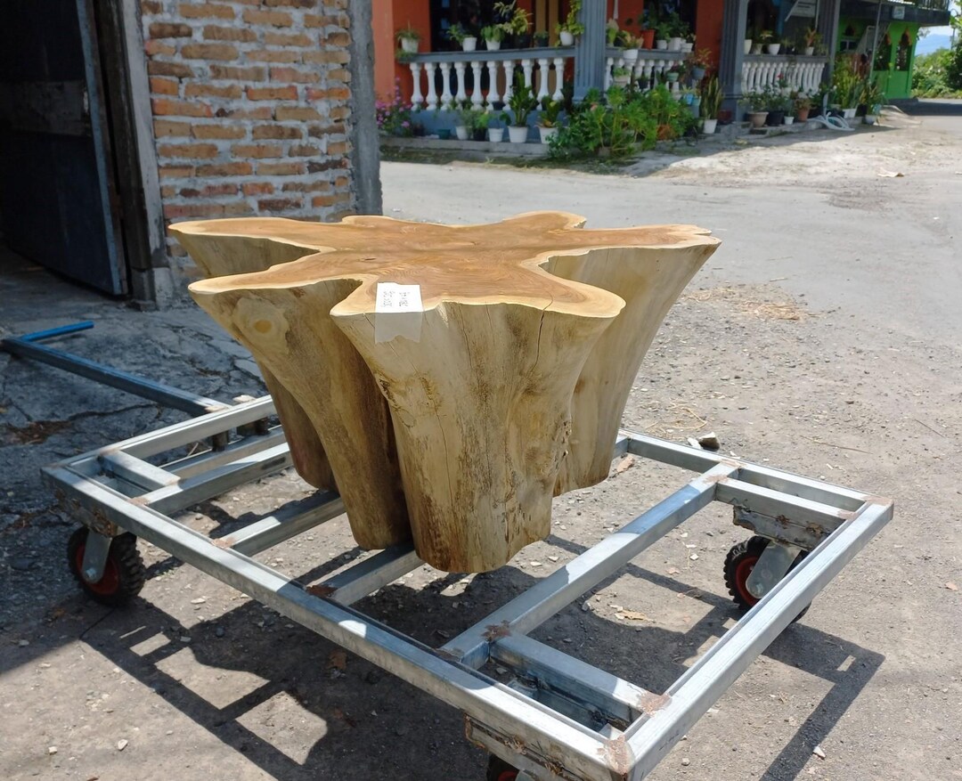 Handmade Teak Root Coffee Table – Rustic Organic Modern Decor (no Glass ...