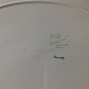 Myotts Fine White Ironstone Staffordshire seving plate. Vintage. image 3