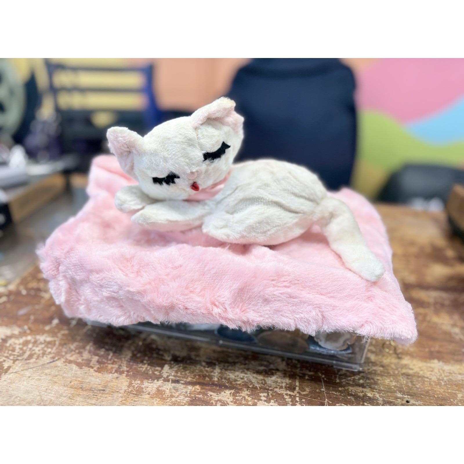 Rushton Cat - Etsy