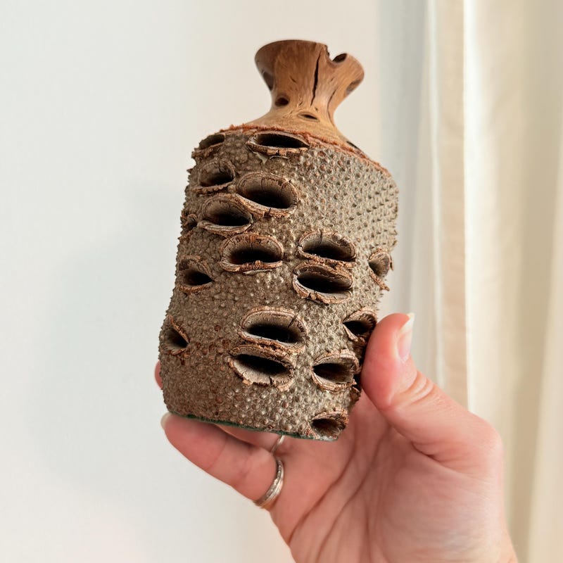 Pod Bud Vase - Short (Nut) main image 1